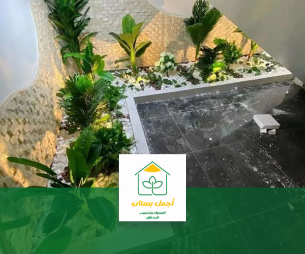 افضل انواع النباتات الداخلية