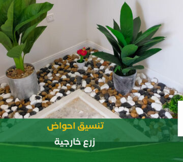 تنسيق احواض الزرع