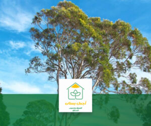 اشجار تتحمل الحرارة