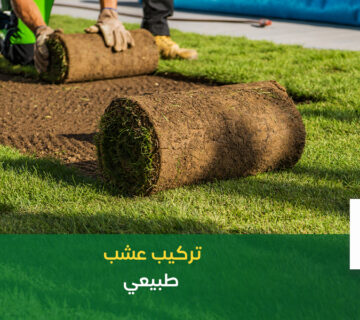 تركيب عشب طبيعي