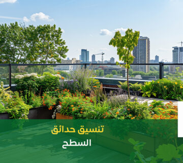 تنسيق حدائق السطح