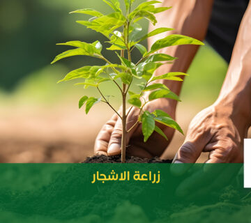 زراعة الاشجار