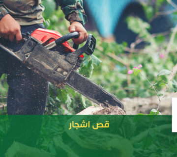 قص اشجار